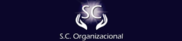 scorganizacional.com